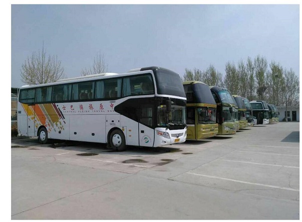 河南大巴車租賃可以攜帶寵物嗎？